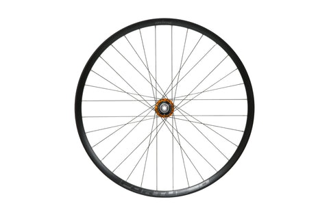 ROUE ARRIERE HOPE FORTUS 30 29"