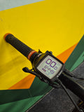 SCOTT STRIKE 920 2019 - OCCASION